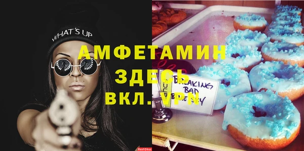 гашик Новозыбков