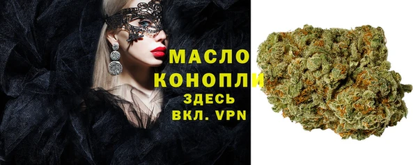 гашик Новозыбков