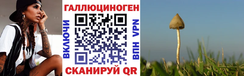 Галлюциногенные грибы Psilocybine cubensis  купить наркотик  Чухлома 
